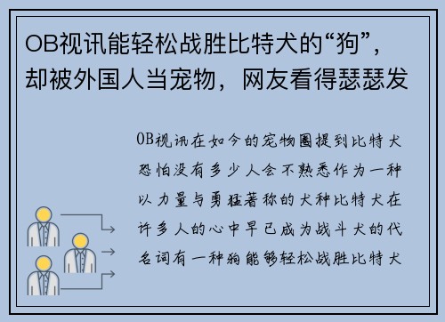 OB视讯能轻松战胜比特犬的“狗”，却被外国人当宠物，网友看得瑟瑟发抖！ - 副本